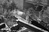 burnt down house 1_003